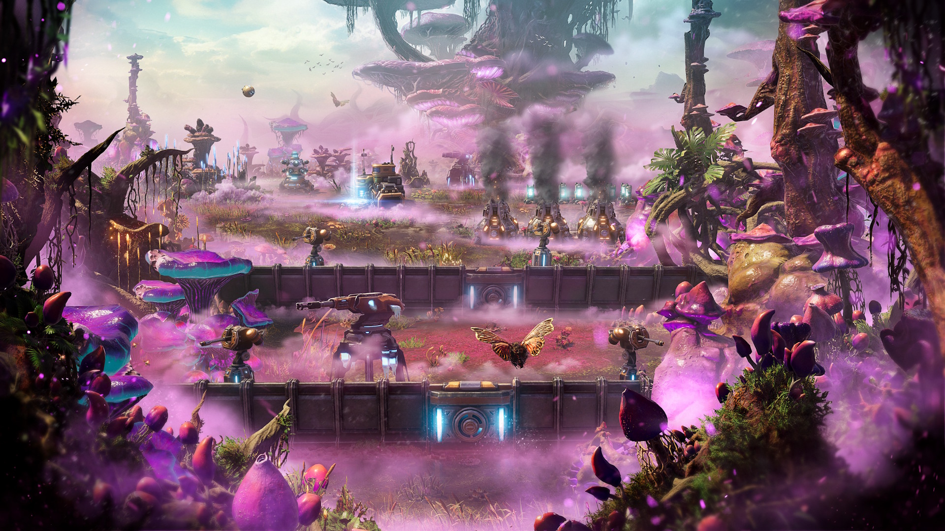 Beta Info & Endgame Overview